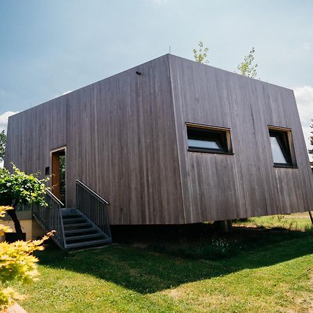 Schwarzau am Steinfelde Gartenlofts Auf Gut Guntrams מראה חיצוני תמונה