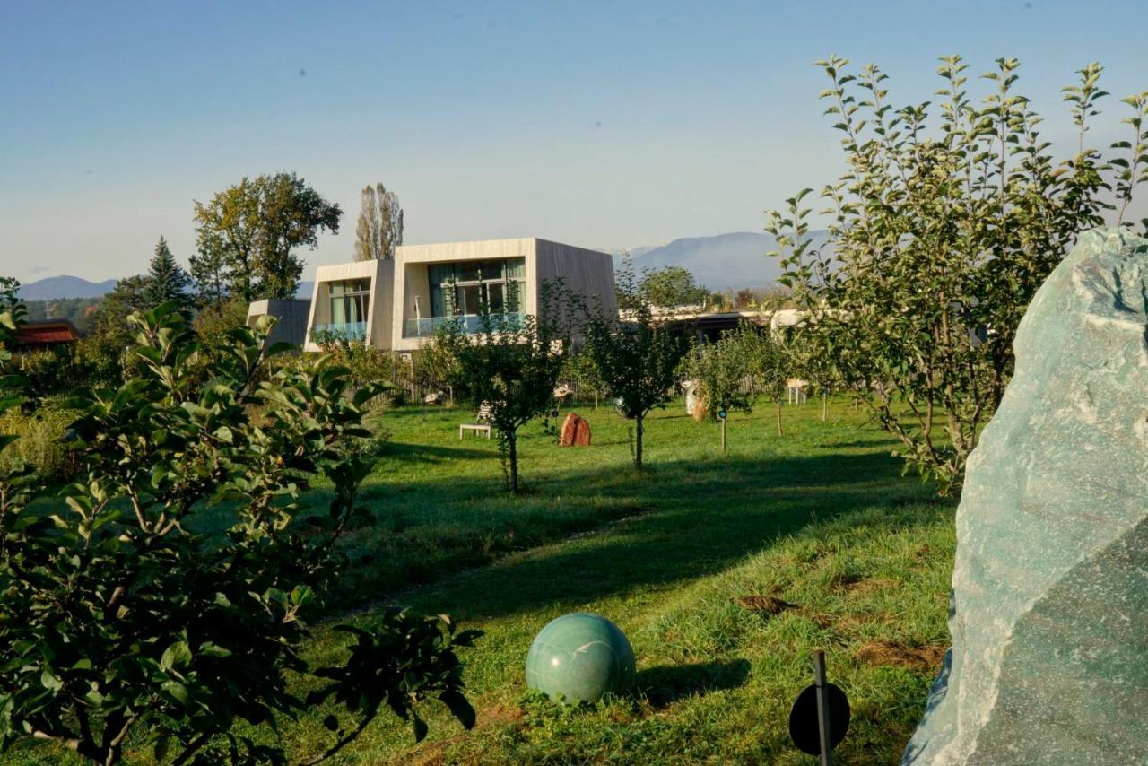 Schwarzau am Steinfelde Gartenlofts Auf Gut Guntrams מראה חיצוני תמונה
